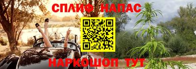 таблы Будённовск